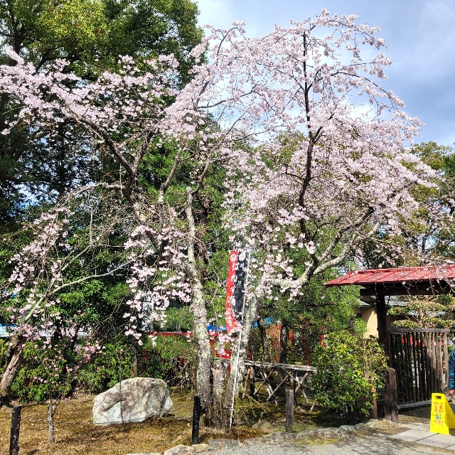 f:id:atoriatoriatori:20250401132832j:image