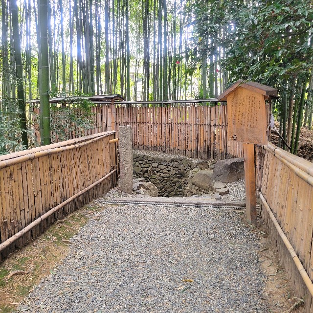 f:id:atoriatoriatori:20250401132900j:image