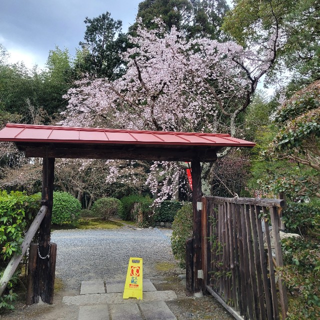 f:id:atoriatoriatori:20250401142943j:image