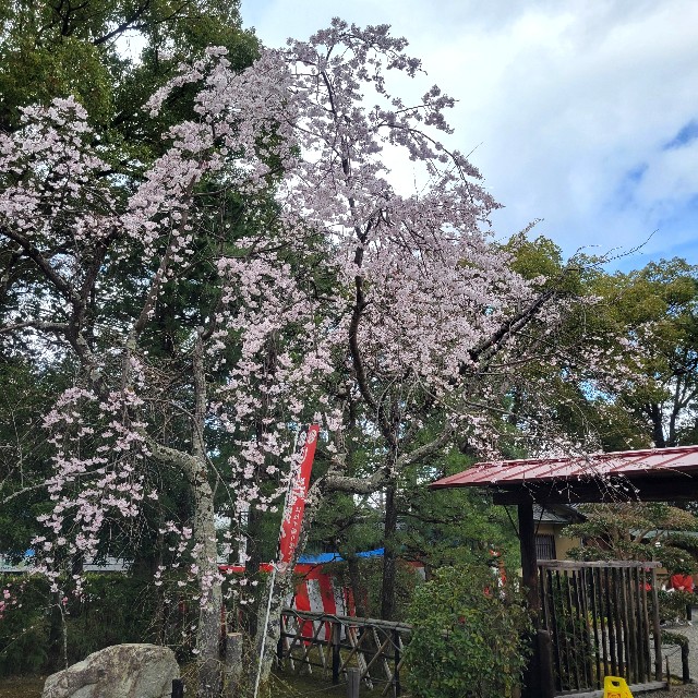 f:id:atoriatoriatori:20250401142954j:image