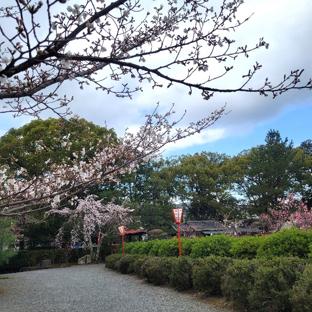 f:id:atoriatoriatori:20250401143003j:image