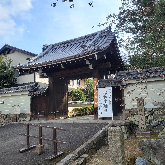 f:id:atoriatoriatori:20250401180425j:image