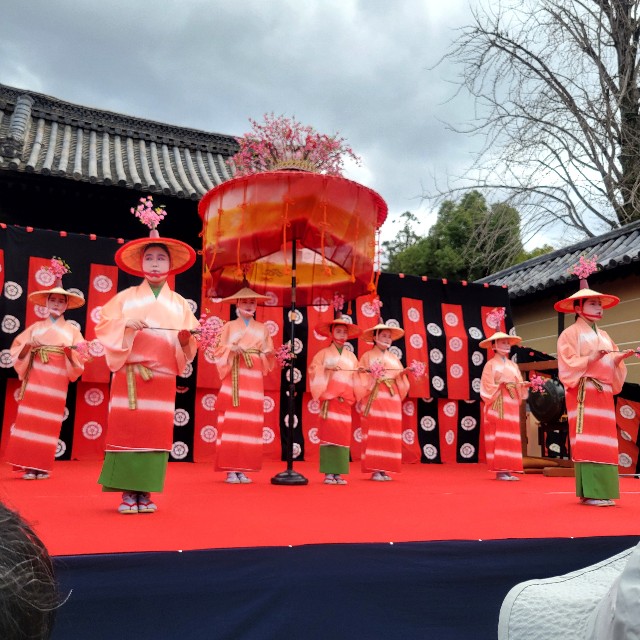 f:id:atoriatoriatori:20250403075658j:image