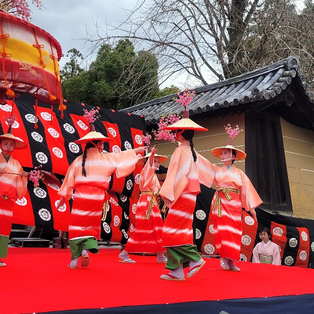 f:id:atoriatoriatori:20250403075834j:image