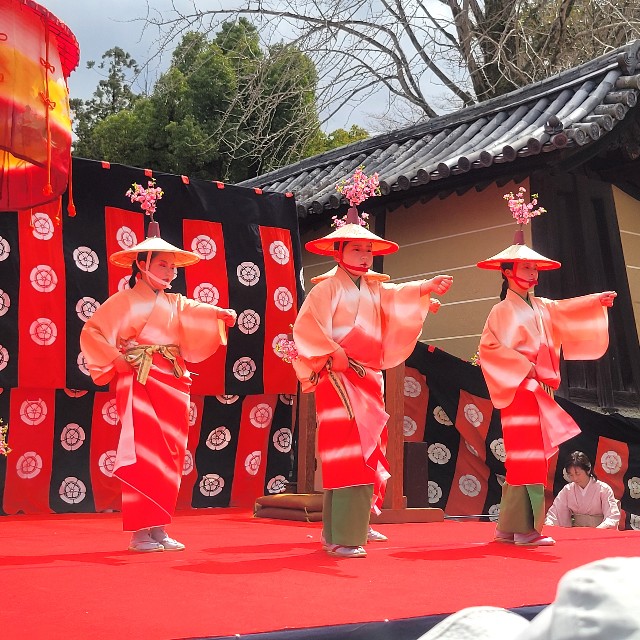 f:id:atoriatoriatori:20250403083057j:image