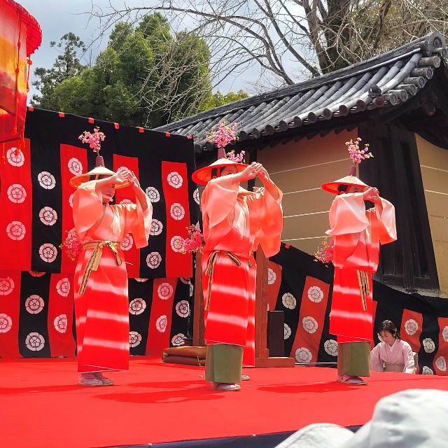f:id:atoriatoriatori:20250403083105j:image