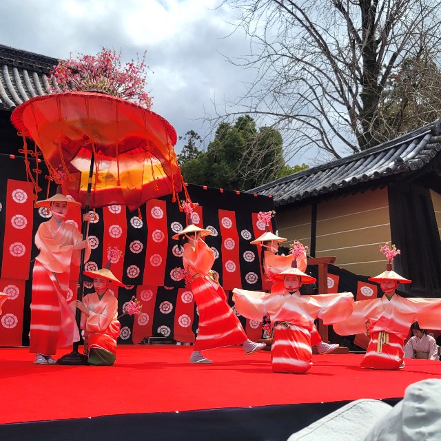f:id:atoriatoriatori:20250403083113j:image