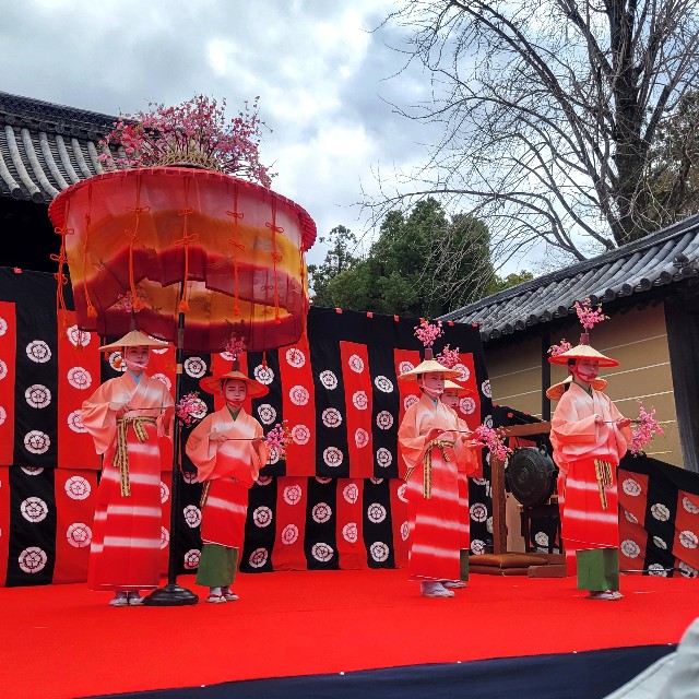 f:id:atoriatoriatori:20250403091247j:image