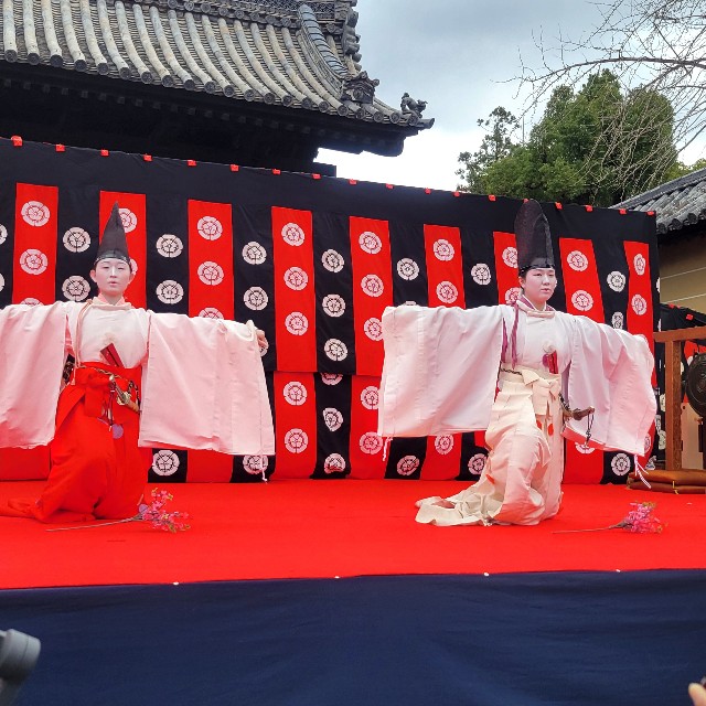f:id:atoriatoriatori:20250403093612j:image
