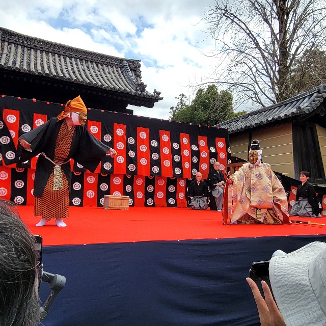 f:id:atoriatoriatori:20250403101527j:image