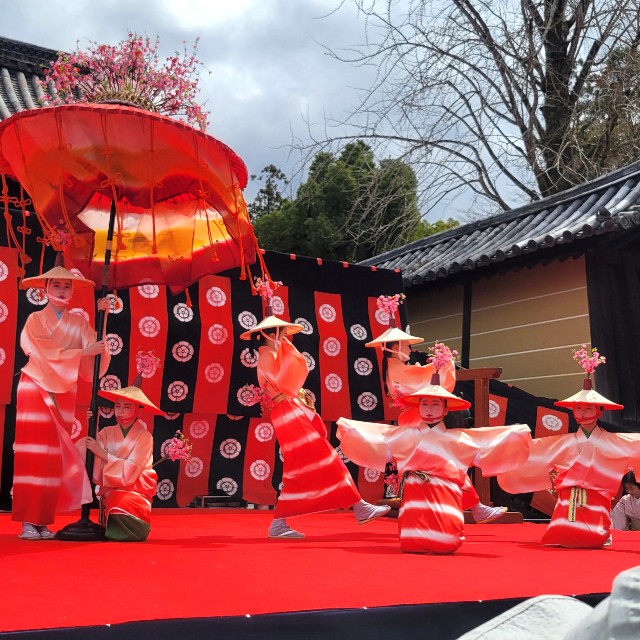 f:id:atoriatoriatori:20250403114711j:image