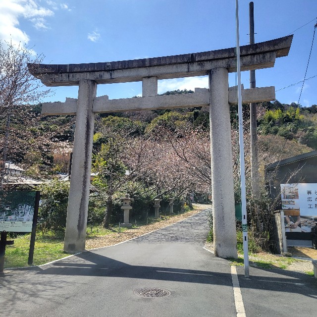 f:id:atoriatoriatori:20250403205944j:image