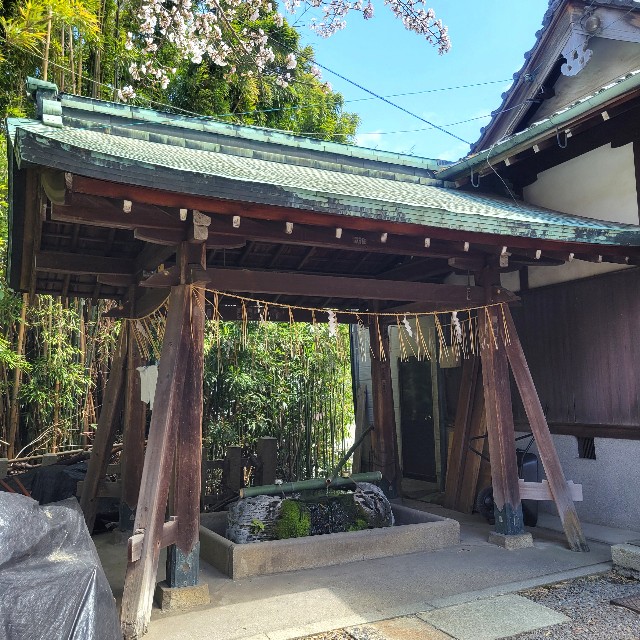 f:id:atoriatoriatori:20250404073031j:image