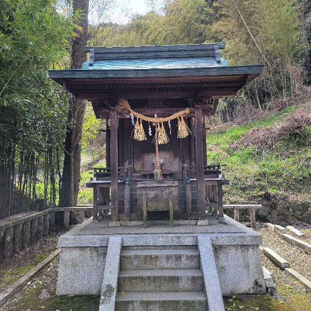 f:id:atoriatoriatori:20250404081746j:image