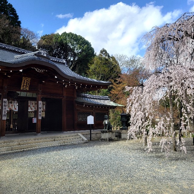 f:id:atoriatoriatori:20250404081757j:image