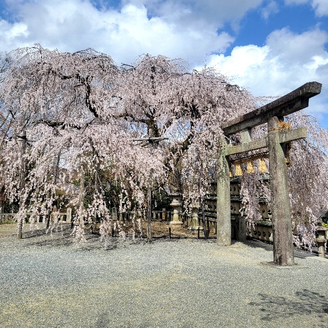 f:id:atoriatoriatori:20250404091010j:image