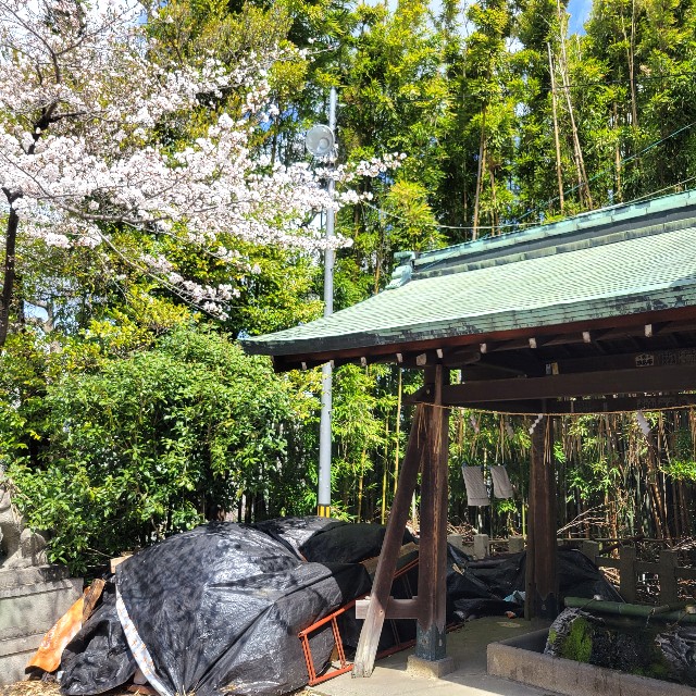 f:id:atoriatoriatori:20250404091949j:image