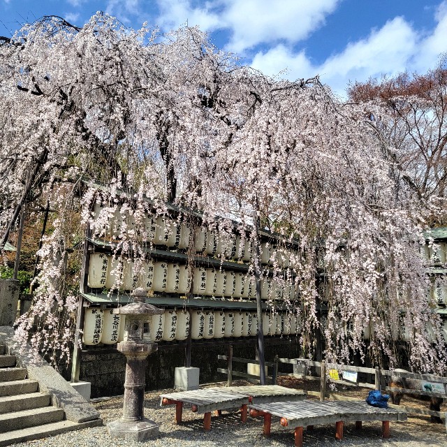 f:id:atoriatoriatori:20250404093649j:image