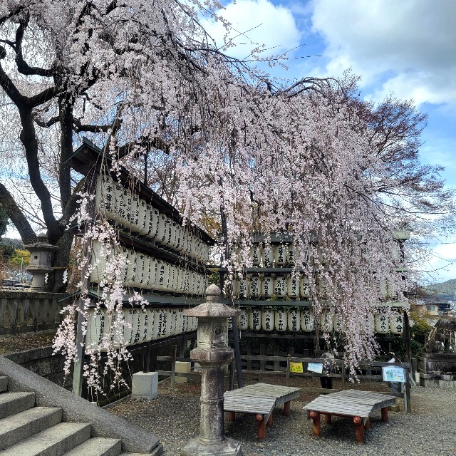 f:id:atoriatoriatori:20250404102613j:image
