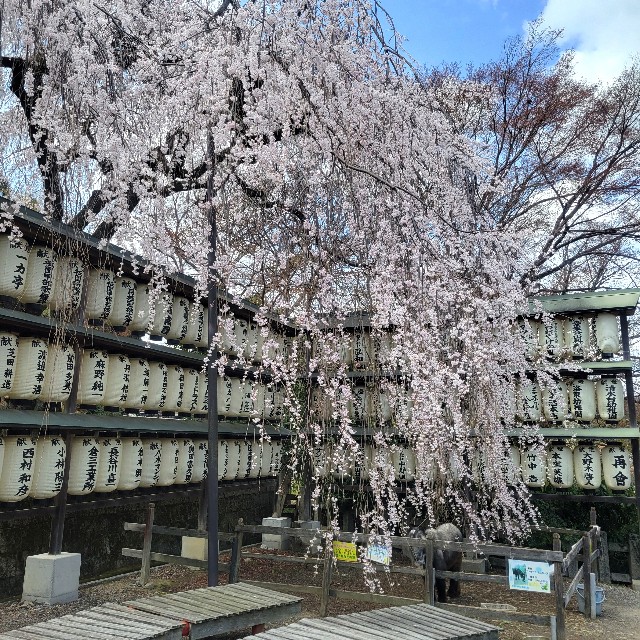 f:id:atoriatoriatori:20250404102633j:image