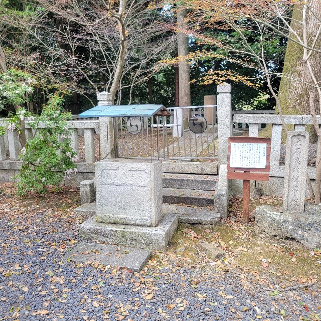 f:id:atoriatoriatori:20250404222133j:image