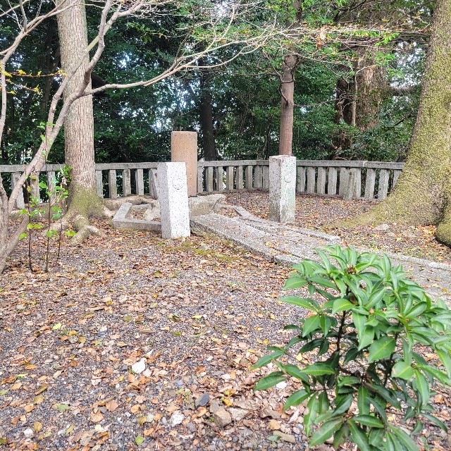 f:id:atoriatoriatori:20250404222142j:image