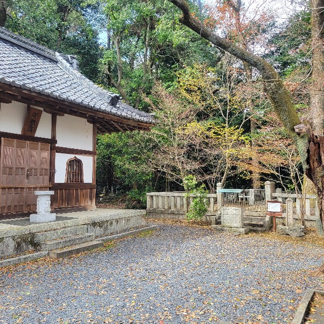 f:id:atoriatoriatori:20250405084400j:image