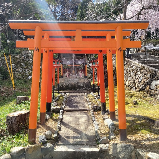 f:id:atoriatoriatori:20250405084445j:image