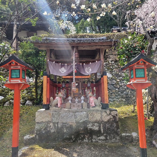 f:id:atoriatoriatori:20250405084454j:image