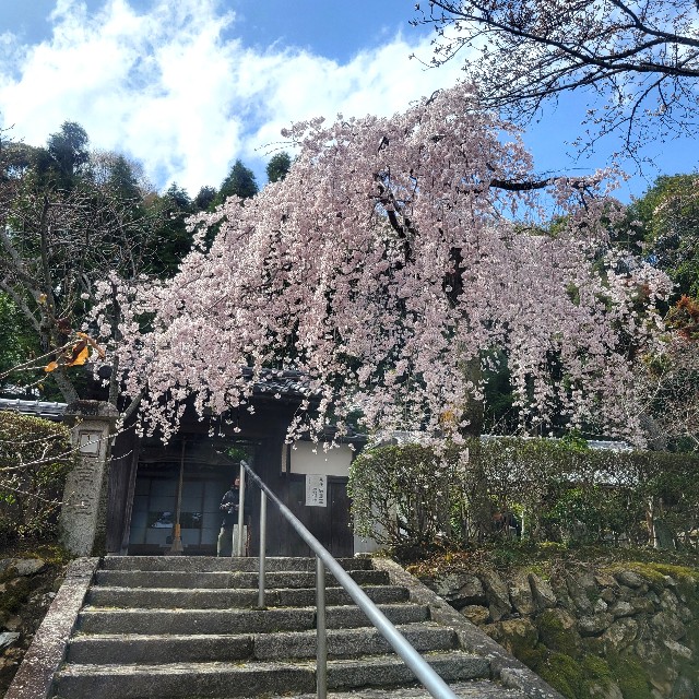 f:id:atoriatoriatori:20250405091428j:image