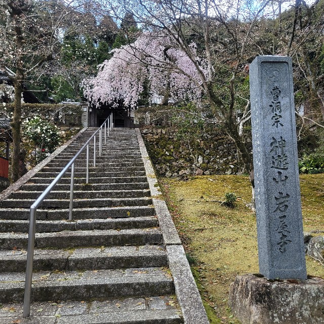 f:id:atoriatoriatori:20250405091817j:image