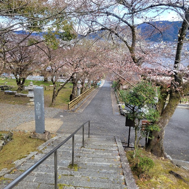 f:id:atoriatoriatori:20250405094746j:image