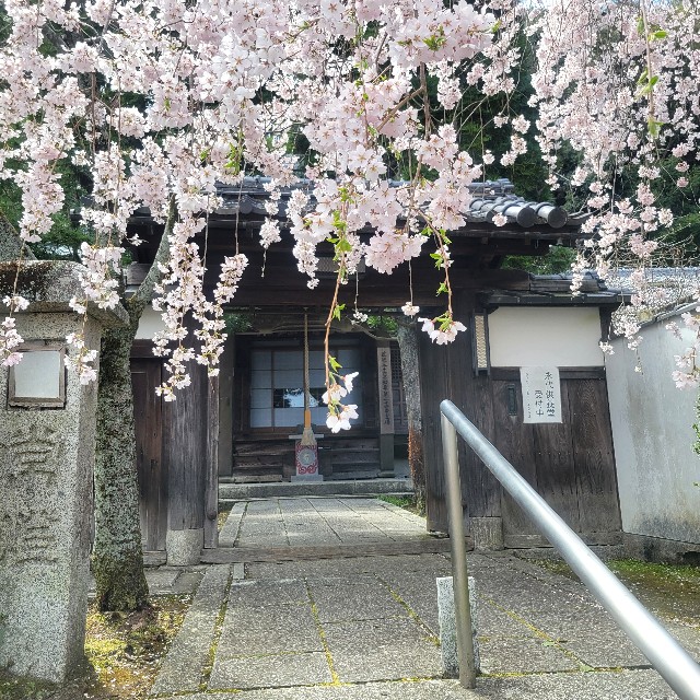 f:id:atoriatoriatori:20250405095212j:image