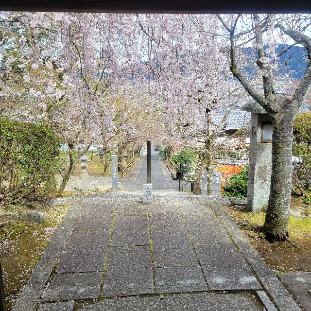 f:id:atoriatoriatori:20250405095252j:image