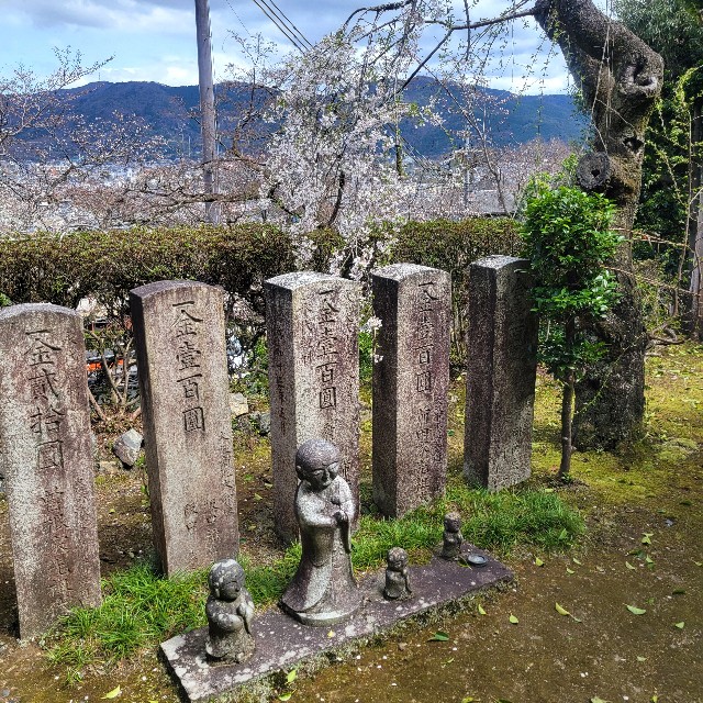 f:id:atoriatoriatori:20250405104739j:image