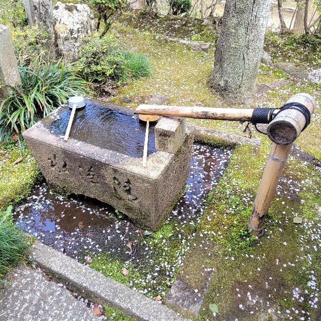 f:id:atoriatoriatori:20250405105630j:image