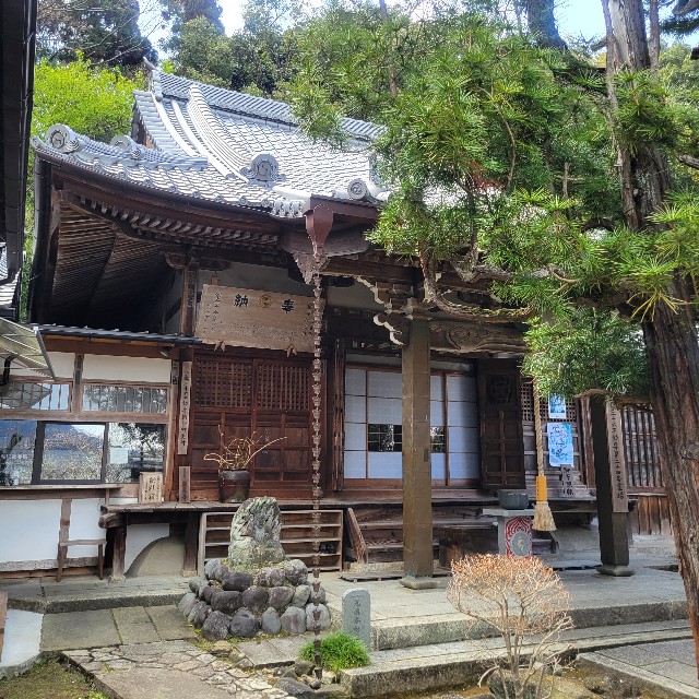 f:id:atoriatoriatori:20250405105639j:image