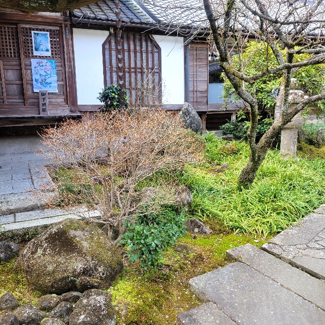 f:id:atoriatoriatori:20250405110506j:image