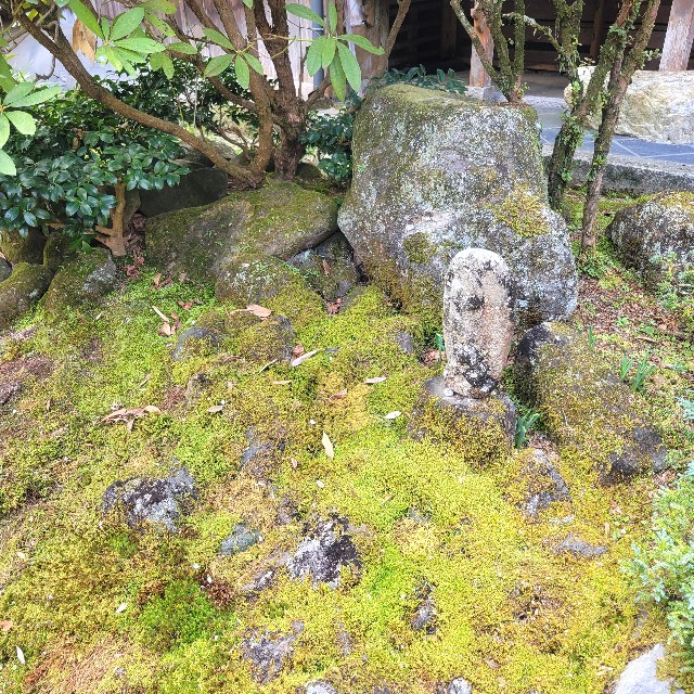 f:id:atoriatoriatori:20250405110515j:image