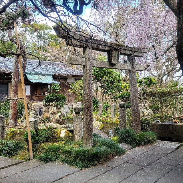 f:id:atoriatoriatori:20250405110524j:image