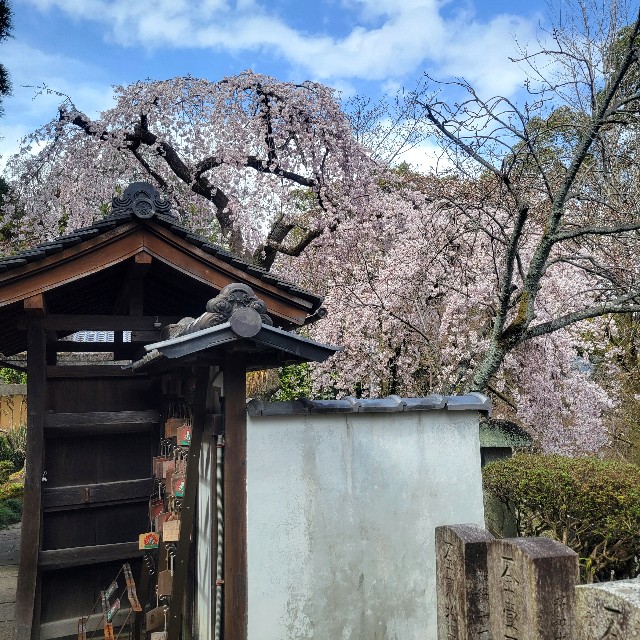 f:id:atoriatoriatori:20250405124447j:image