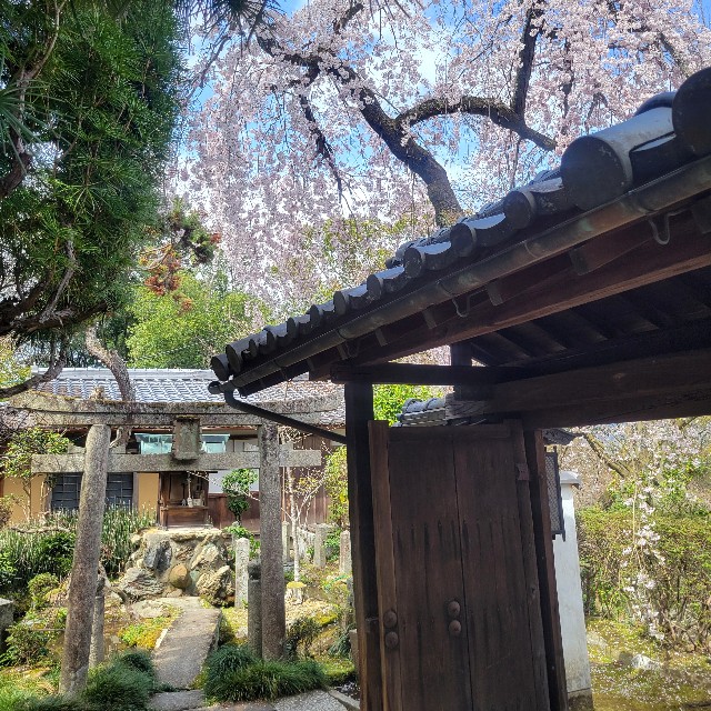 f:id:atoriatoriatori:20250405124459j:image