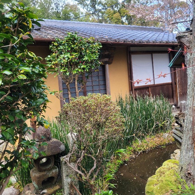 f:id:atoriatoriatori:20250405124531j:image