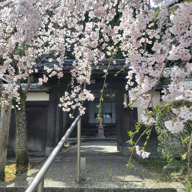 f:id:atoriatoriatori:20250405125553j:image