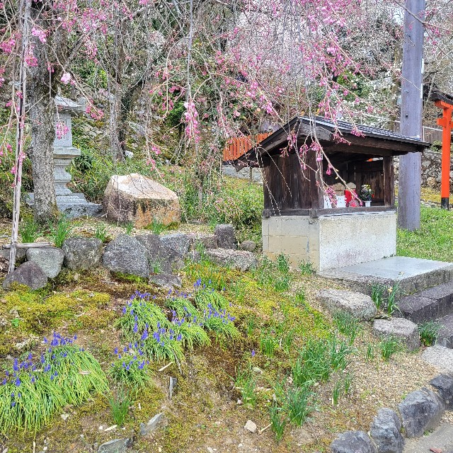 f:id:atoriatoriatori:20250405134140j:image