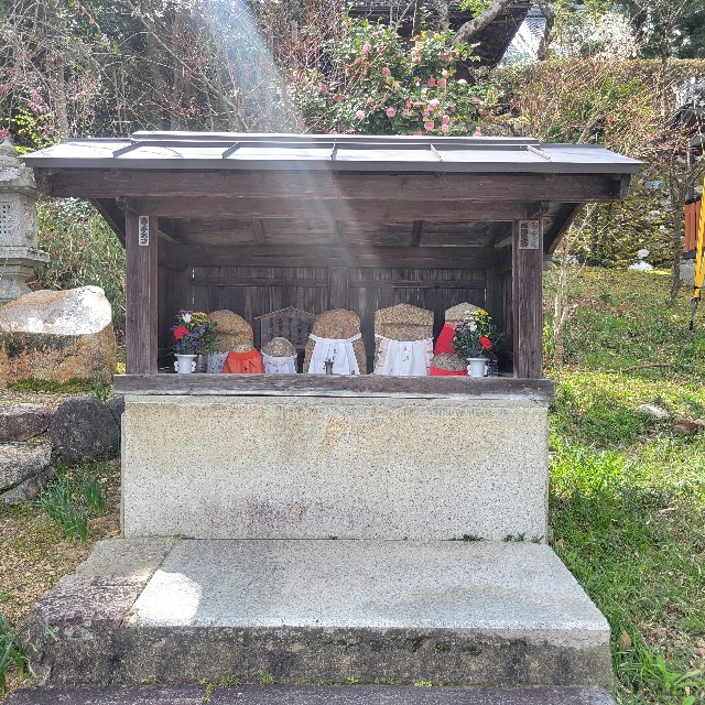f:id:atoriatoriatori:20250405134153j:image