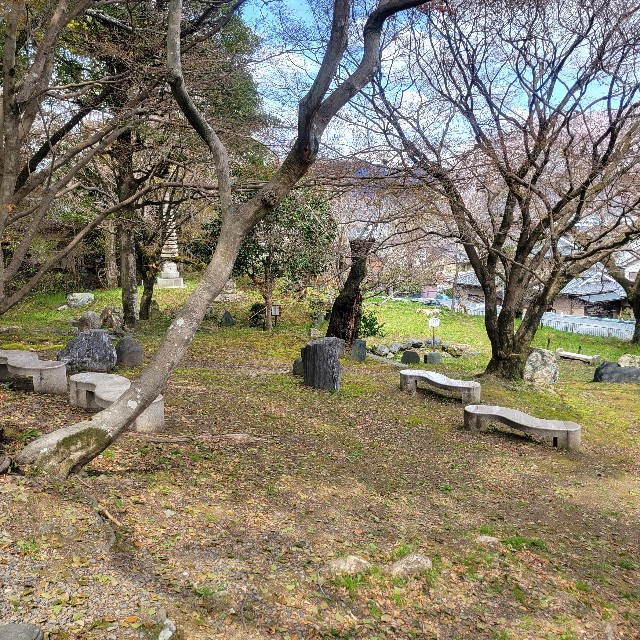 f:id:atoriatoriatori:20250405151102j:image