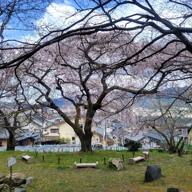 f:id:atoriatoriatori:20250405152107j:image
