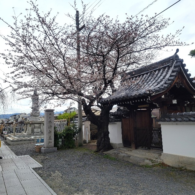f:id:atoriatoriatori:20250407082554j:image