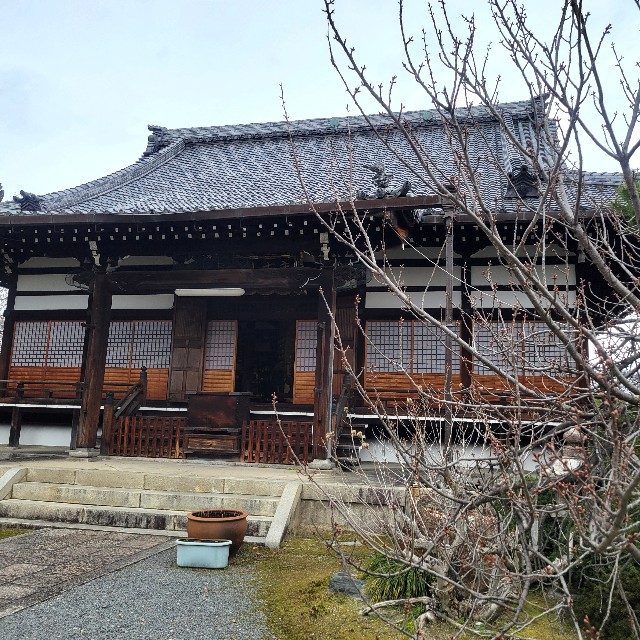 f:id:atoriatoriatori:20250407092220j:image